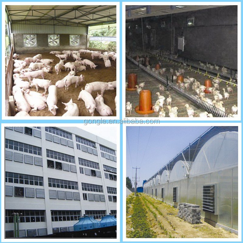 Lower Cost Factory Supplier 800/1000/1380 Industrial Fan Push Pull Centrifugal Fans Exhaust Ventilation Ventilator air Blower